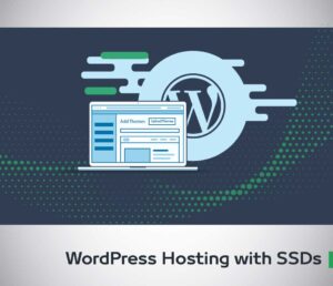 WordPress Hosting with SSDs New Waves Qatar